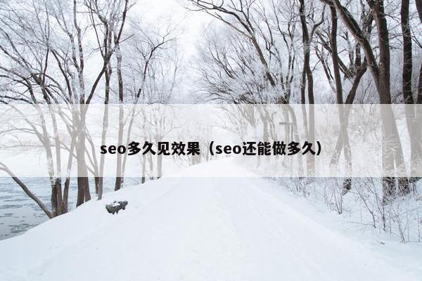 seo多久见效果（seo还能做多久）