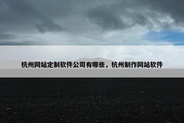 杭州网站定制软件公司有哪些，杭州制作网站软件