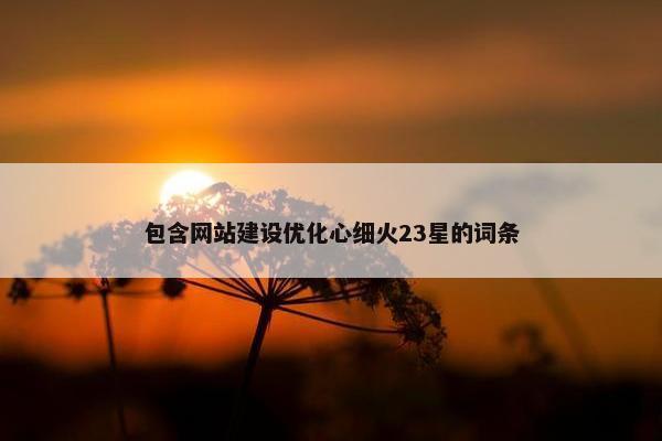 包含网站建设优化心细火23星的词条