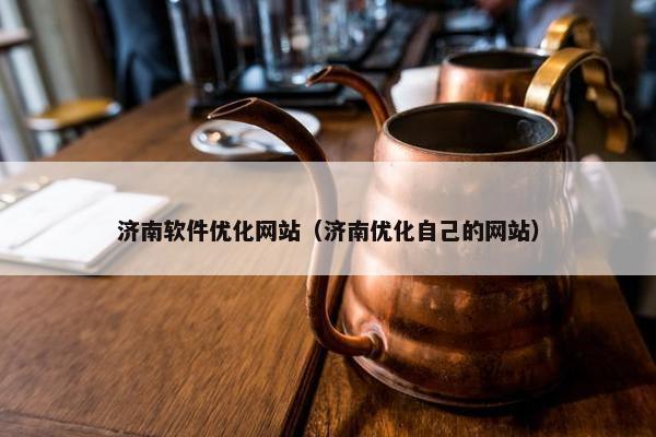 济南软件优化网站（济南优化自己的网站）