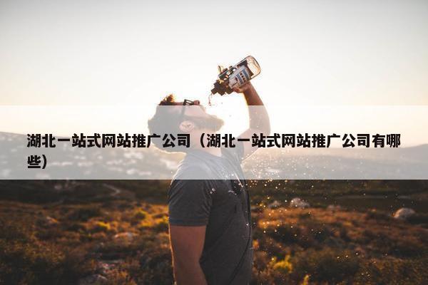 湖北一站式网站推广公司（湖北一站式网站推广公司有哪些）