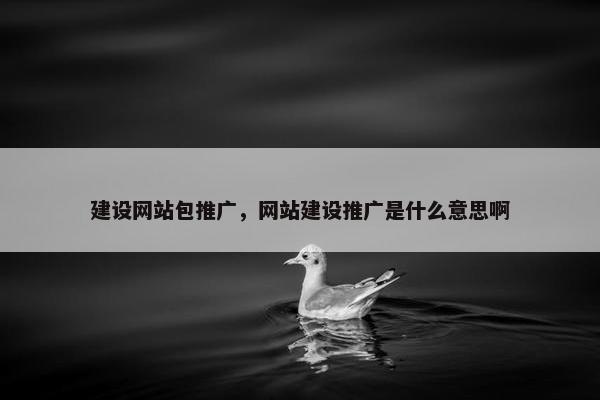 建设网站包推广，网站建设推广是什么意思啊