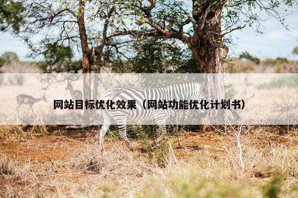 网站目标优化效果（网站功能优化计划书）