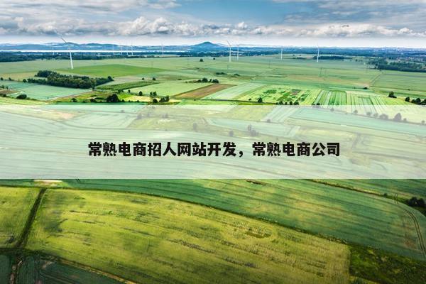 常熟电商招人网站开发，常熟电商公司