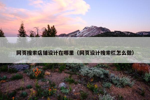 网页搜索店铺设计在哪里（网页设计搜索栏怎么做）