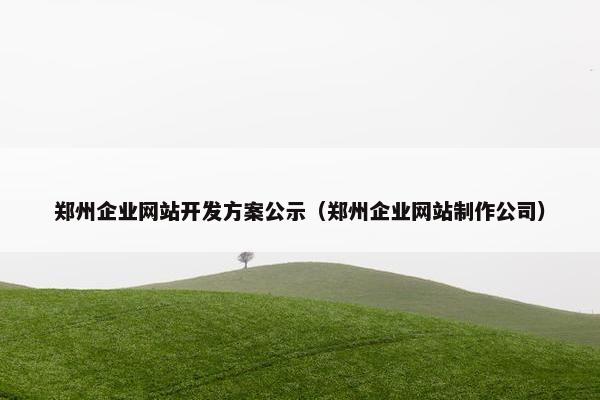 郑州企业网站开发方案公示（郑州企业网站制作公司）