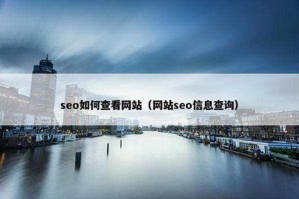 seo如何查看网站（网站seo信息查询）