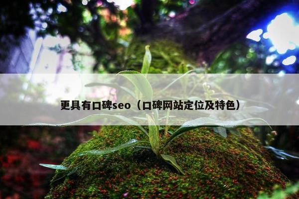 更具有口碑seo（口碑网站定位及特色）