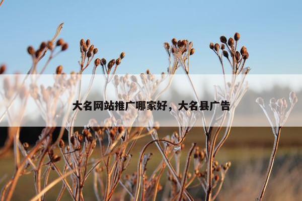 大名网站推广哪家好，大名县广告