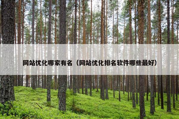 网站优化哪家有名（网站优化排名软件哪些最好）