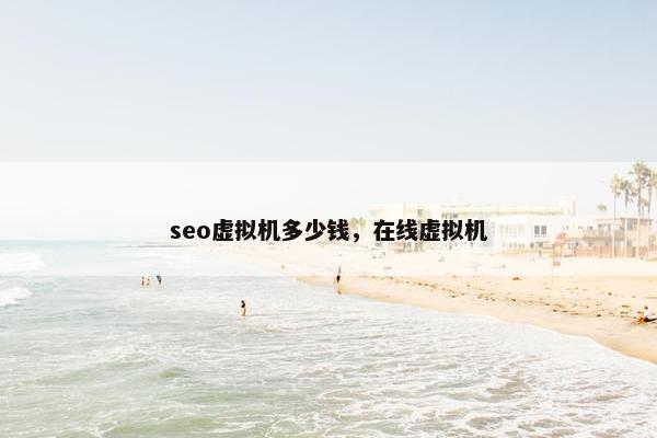 seo虚拟机多少钱，在线虚拟机
