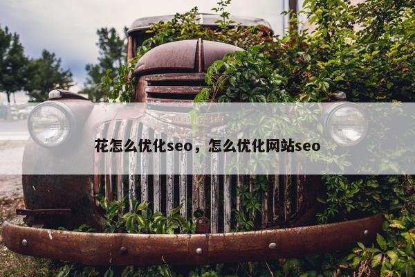花怎么优化seo，怎么优化网站seo