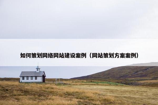 如何策划网络网站建设案例（网站策划方案案例）