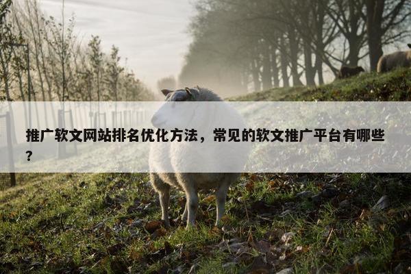 推广软文网站排名优化方法，常见的软文推广平台有哪些?
