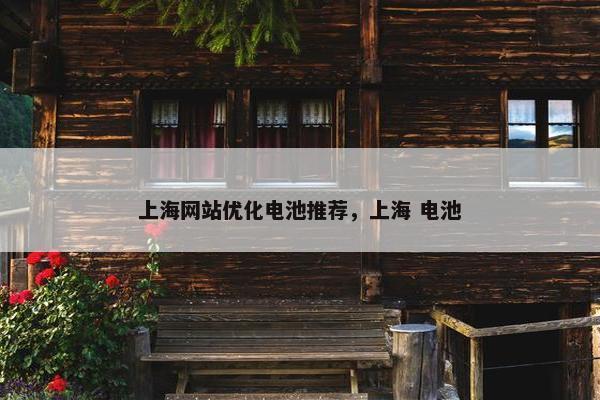 上海网站优化电池推荐，上海 电池