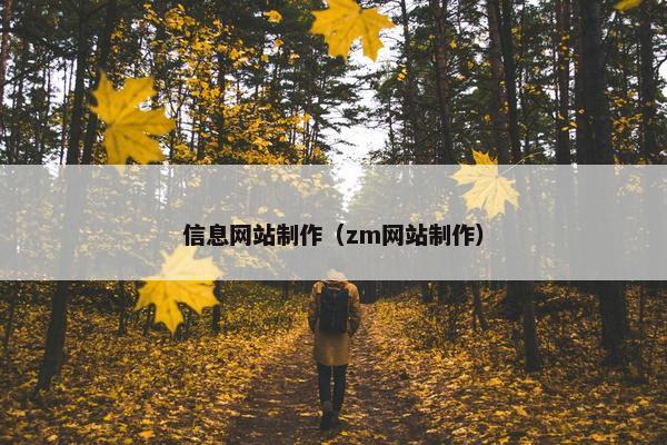 信息网站制作（zm网站制作）