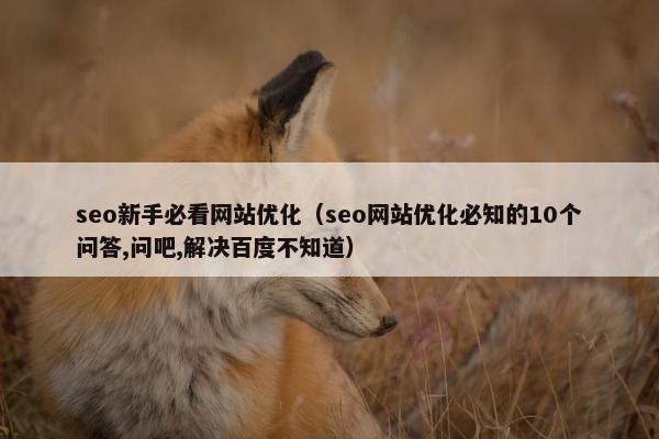 seo新手必看网站优化（seo网站优化必知的10个问答,问吧,解决百度不知道）