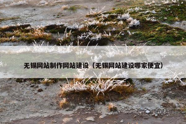 无锡网站制作网站建设（无锡网站建设哪家便宜）