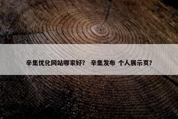 辛集优化网站哪家好？ 辛集发布 个人展示页？