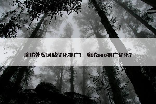 廊坊外贸网站优化推广？ 廊坊seo推广优化？