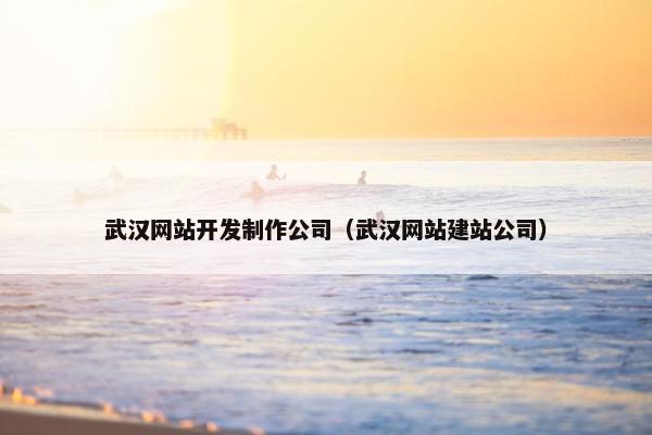 武汉网站开发制作公司（武汉网站建站公司）