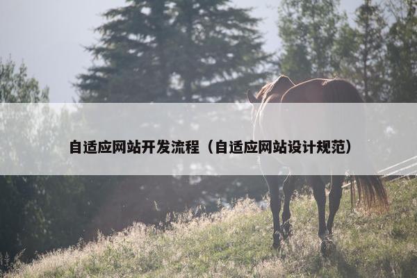 自适应网站开发流程（自适应网站设计规范）