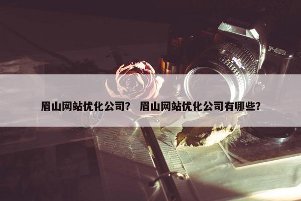 眉山网站优化公司？ 眉山网站优化公司有哪些？