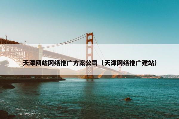 天津网站网络推广方案公司（天津网络推广建站）