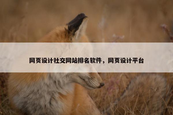 网页设计社交网站排名软件，网页设计平台