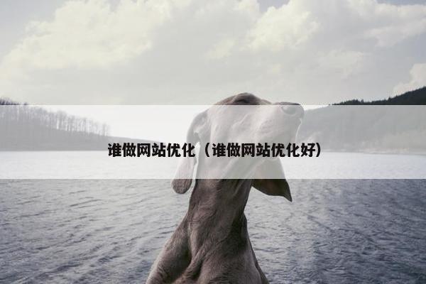 谁做网站优化（谁做网站优化好）