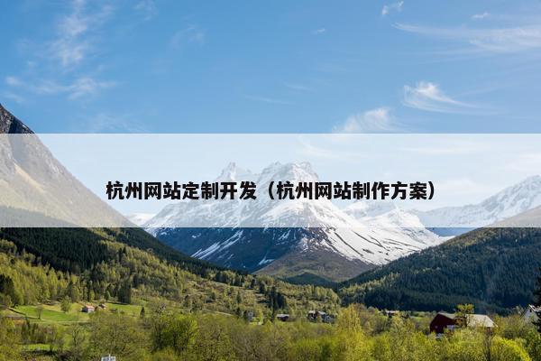 杭州网站定制开发（杭州网站制作方案）