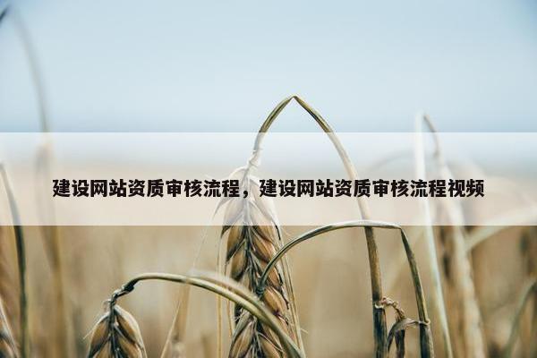 建设网站资质审核流程，建设网站资质审核流程视频
