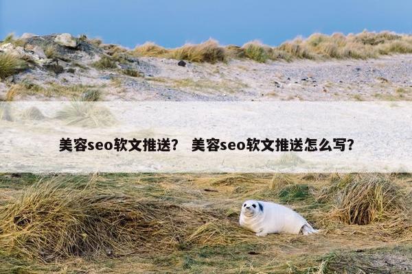 美容seo软文推送？ 美容seo软文推送怎么写？