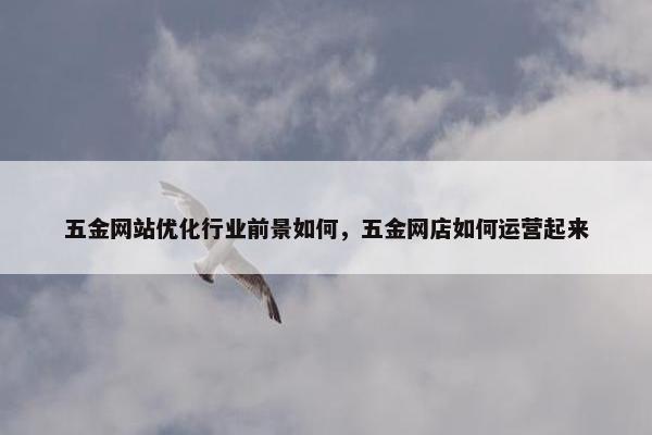 五金网站优化行业前景如何，五金网店如何运营起来