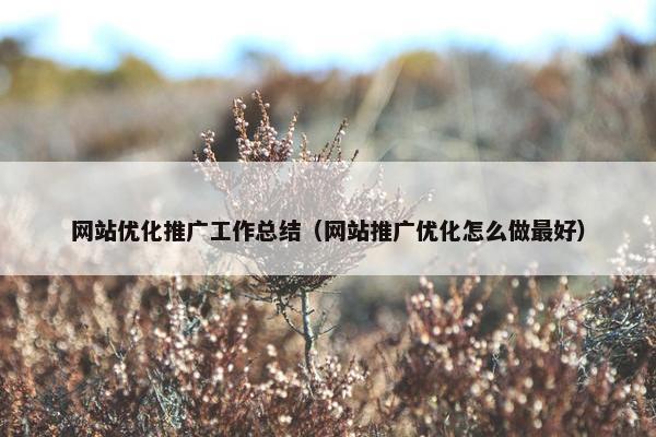 网站优化推广工作总结（网站推广优化怎么做最好）