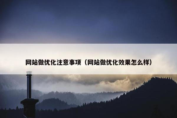 网站做优化注意事项（网站做优化效果怎么样）