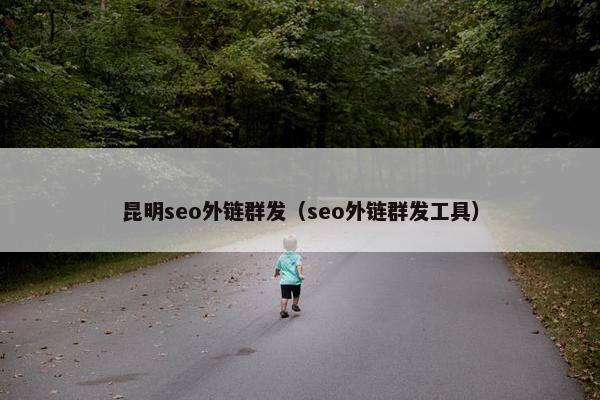 昆明seo外链群发（seo外链群发工具）