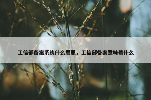 工信部备案系统什么意思，工信部备案意味着什么