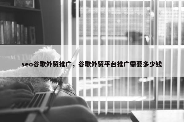 seo谷歌外贸推广，谷歌外贸平台推广需要多少钱