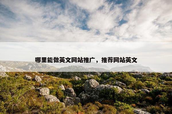 哪里能做英文网站推广，推荐网站英文