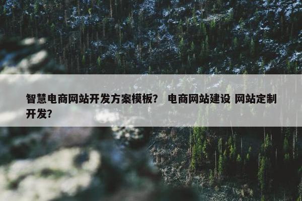 智慧电商网站开发方案模板？ 电商网站建设 网站定制开发？