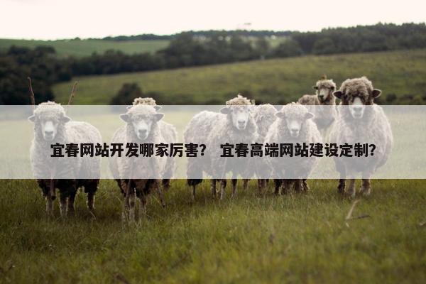 宜春网站开发哪家厉害？ 宜春高端网站建设定制？