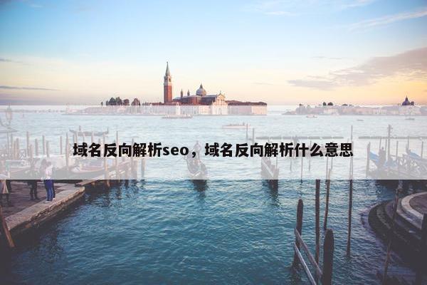 域名反向解析seo，域名反向解析什么意思