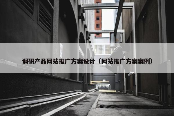 调研产品网站推广方案设计（网站推广方案案例）