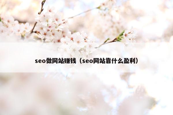 seo做网站赚钱（seo网站靠什么盈利）