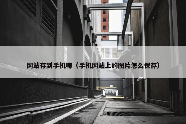 网站存到手机哪（手机网站上的图片怎么保存）