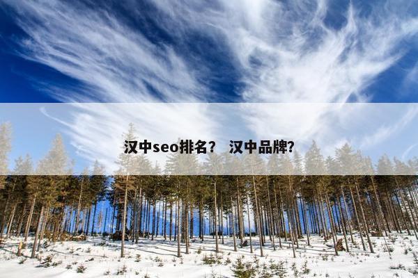 汉中seo排名？ 汉中品牌？