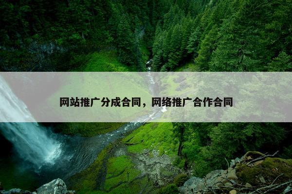 网站推广分成合同，网络推广合作合同