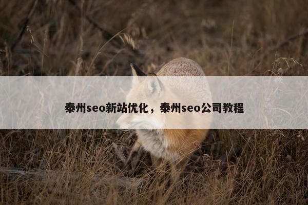 泰州seo新站优化，泰州seo公司教程