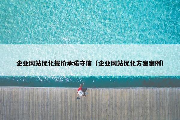 企业网站优化报价承诺守信（企业网站优化方案案例）
